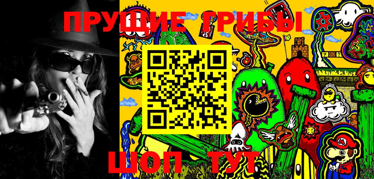 Псилоцибиновые грибы ЛСД  Вход с VPN  Сегежа  Псилоцибиновые грибы Psilocybine cubensis 